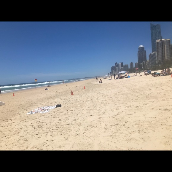 Meet your Posher, Penny - Picture 1 of 1